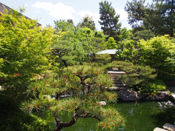 ホッと一息つける庭園を持つ芦屋市谷崎潤一郎記念館