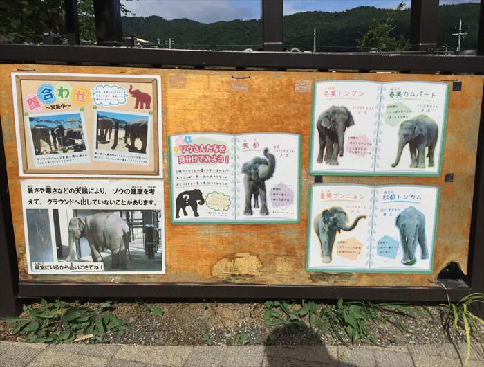 京都市動物園のおすすめスポット