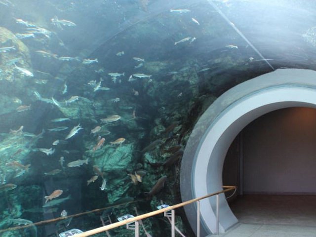 滋賀県立琵琶湖博物館（滋賀県）