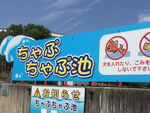 兵庫県の水遊び場へお出かけ