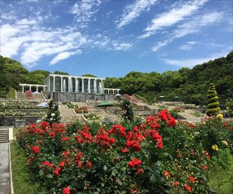 兵庫県でおすすめの植物園＆花のスポット一覧