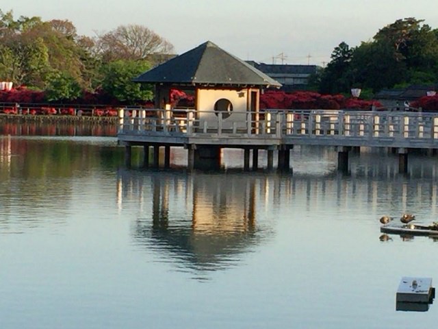 八条ヶ池（京都府）