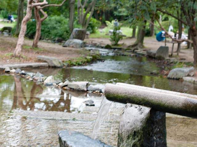 梅小路公園の水遊びスポット（京都府）