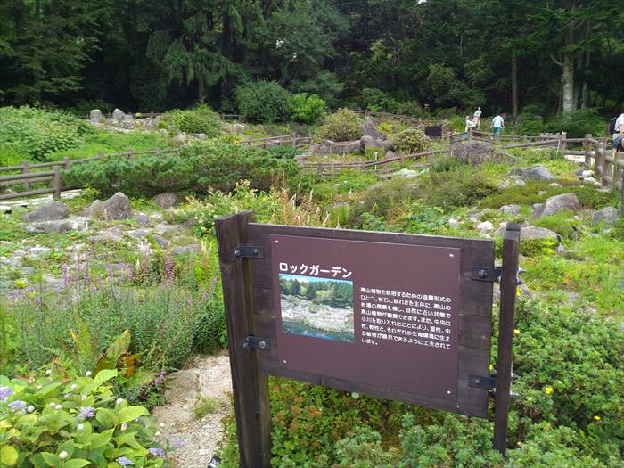 六甲高山植物園のロックガーデン