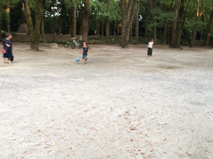 糺の森 子供も遊べる森