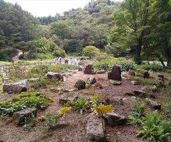 六甲高山植物園（兵庫県）