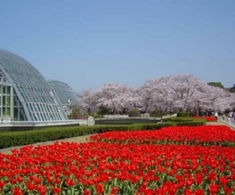 大阪の植物園＆花のスポットへお出かけしよう