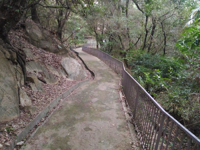 東谷公園の自然あふれた森林エリアと遊歩道
