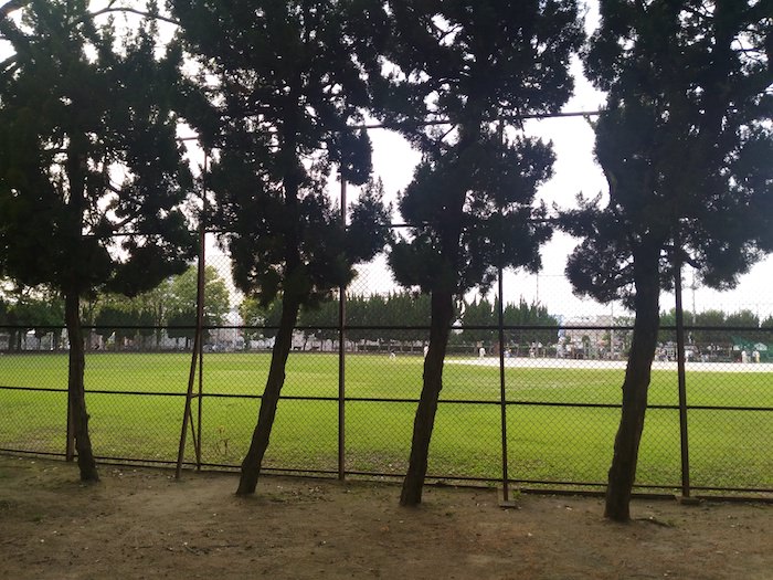 本庄南公園は芝のきれいな野球場が目玉
