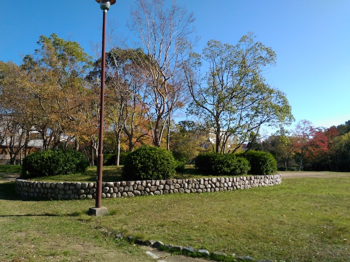 松尾公園 シンボルツリー