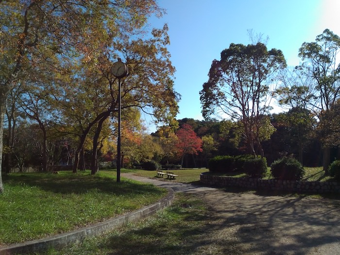 松尾公園 緑あふれる公園