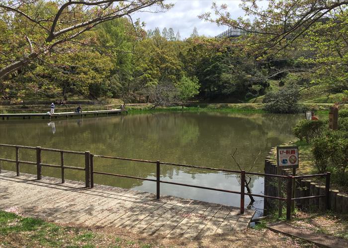 奥須磨公園内にある釣りが出来る池