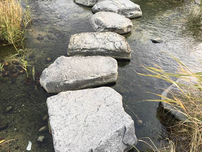 ポートアイランド中央緑地公園の小川の飛び石