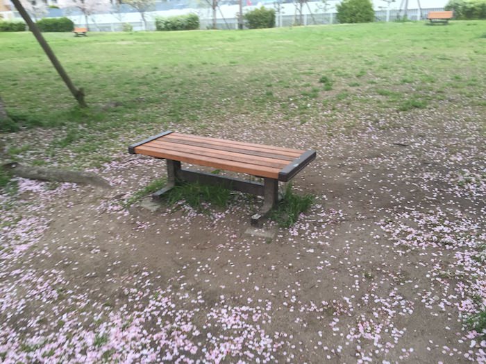 桜が咲き誇る高須東公園