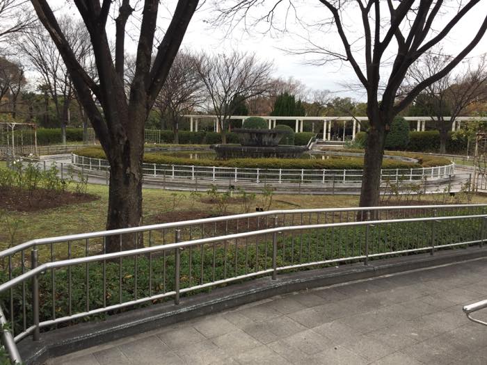 豊島公園バラ園