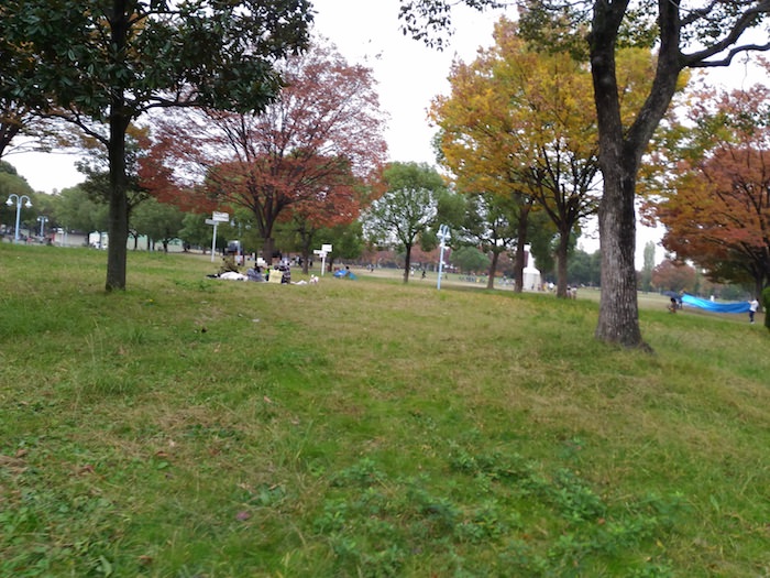 花博記念公園鶴見緑地 お弁当にもおすすめ芝生広場
