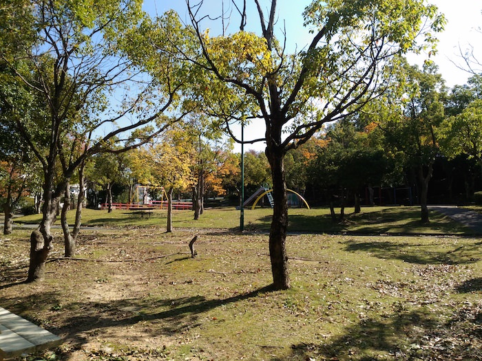 椿谷公園 自然は触れる公園