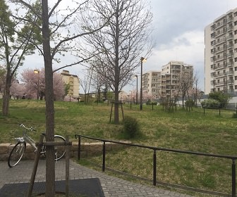 高須東公園（兵庫県）
