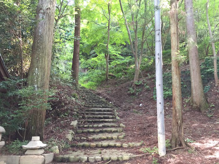 湯泉神社 静かな場所にある神社