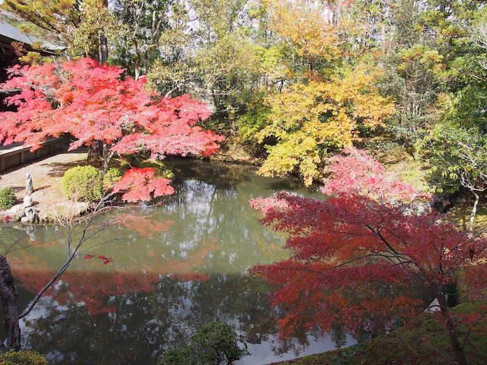 清涼寺 庭園の紅葉