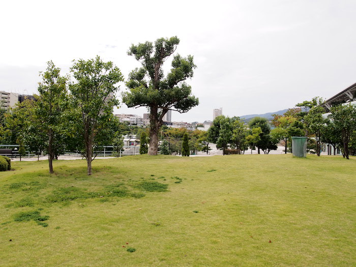 阪神競馬場のおすすめ度は 見どころや感想を詳しくレビュー