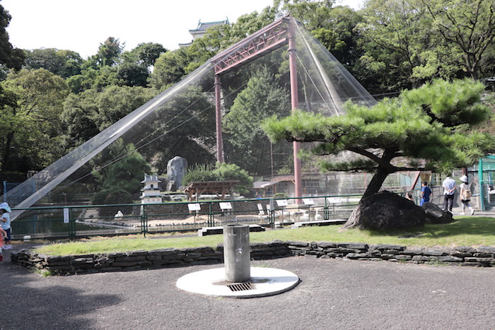 和歌山公園動物園の水禽園 