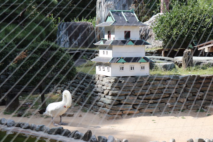 和歌山公園動物園の水禽園 和歌山城ミニチュア