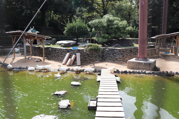和歌山公園動物園のおすすめ度は？